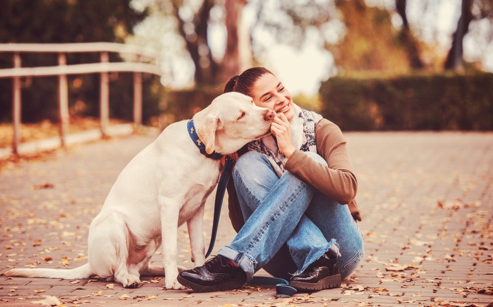7 Date Ideas for You and Your Dog💕