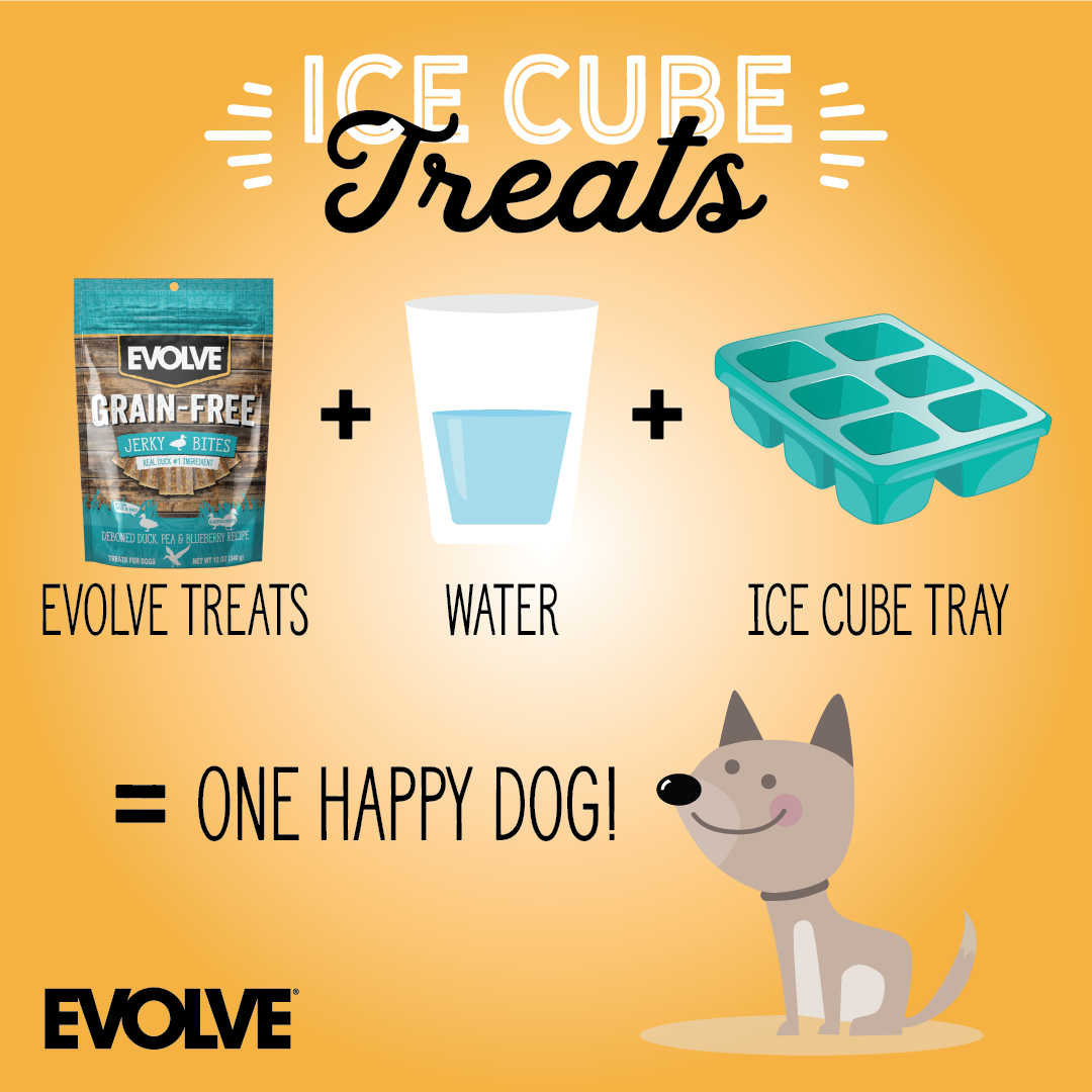 Nothing Cooler than Staying Cool 😎