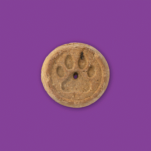 Tasty and crunchy dog treats