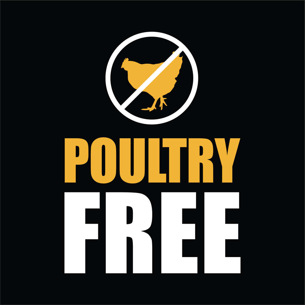 Poultry free dog treats