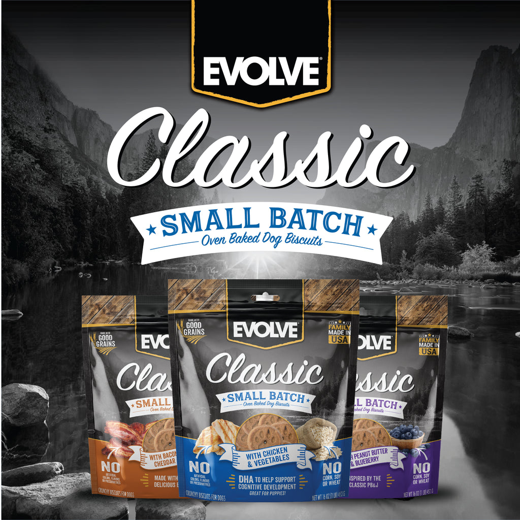 Evolve small batch dog biscuits