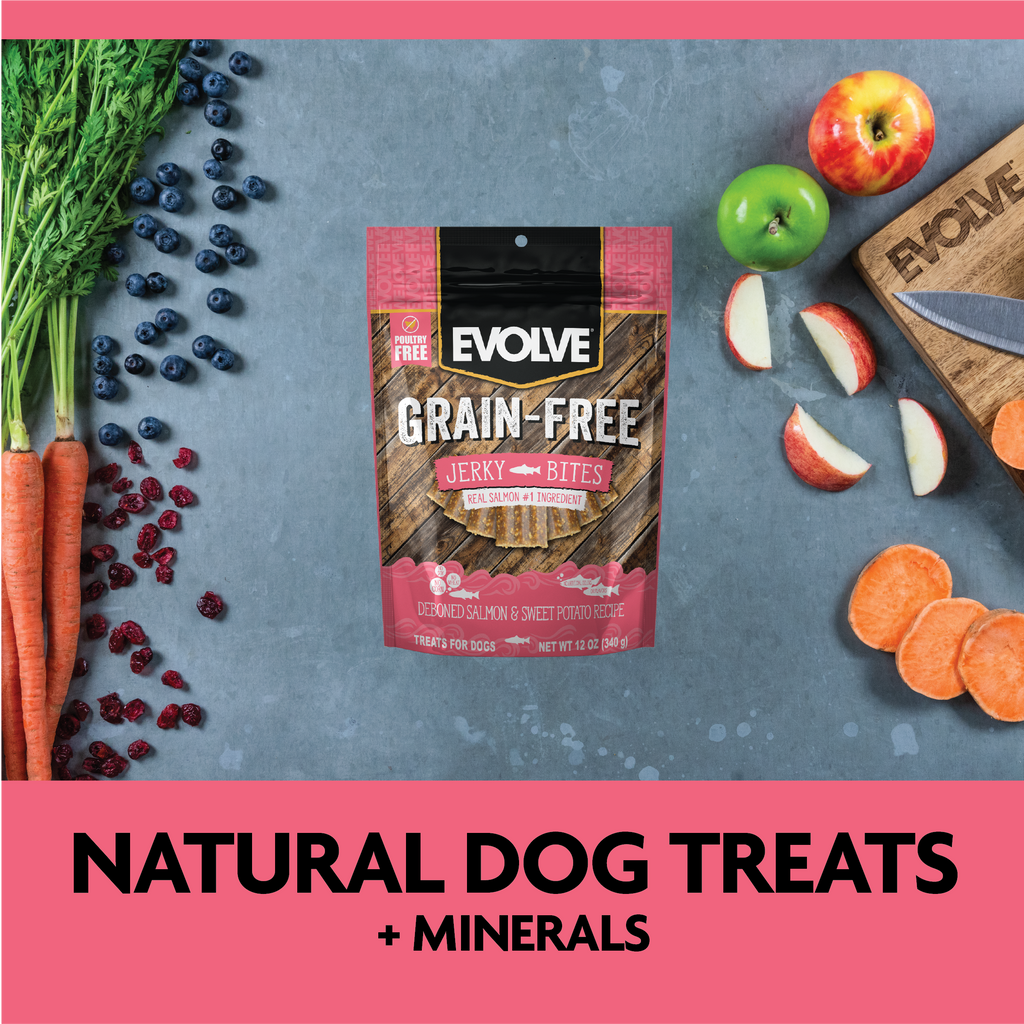 Natural Dog Treats plus Minerals