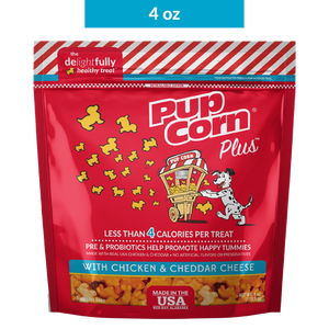healthy dog treat
