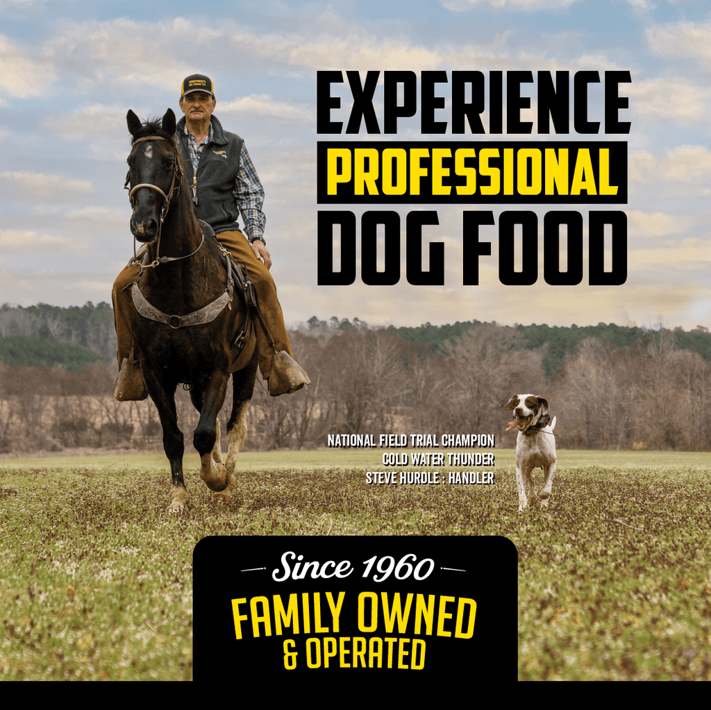 Experience Professional Dog Food