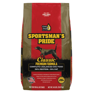 active dog food