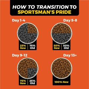 How to transition to sportsmans pride high protein dog food