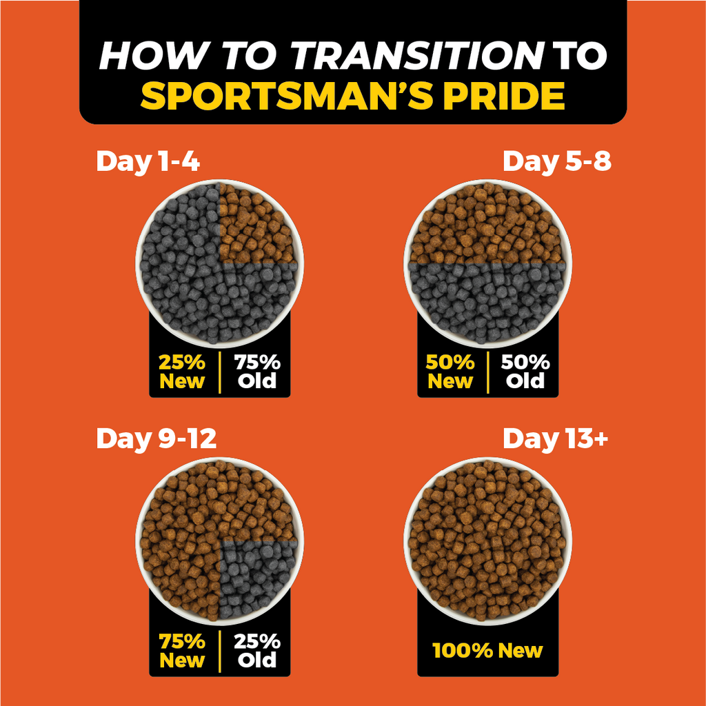 How to transition to sportsmans pride high protein dog food