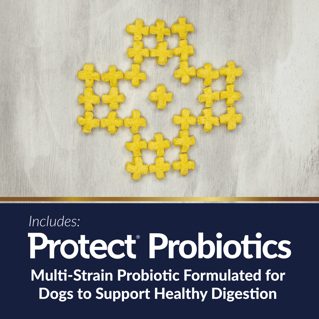 Protect Puffs Digestive Care + Weight Management Dog Treats | 20 oz | Veterinary Select