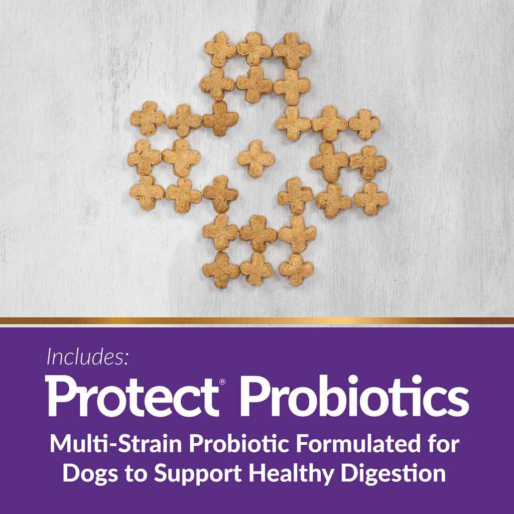 Protect Puffs Joint Care Dog Treats | 20 oz | Veterinary Select