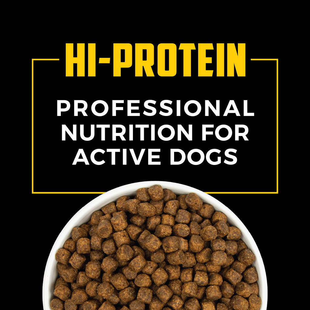 hi pro plus dog food for active dogs