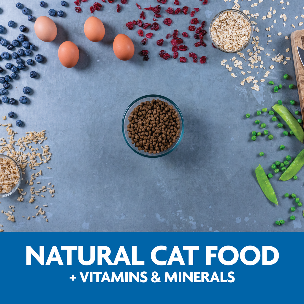 Natural cat food plus vitamins and minearls