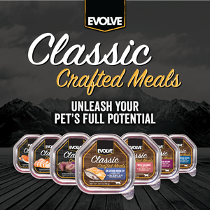Classic wet cat food recipes