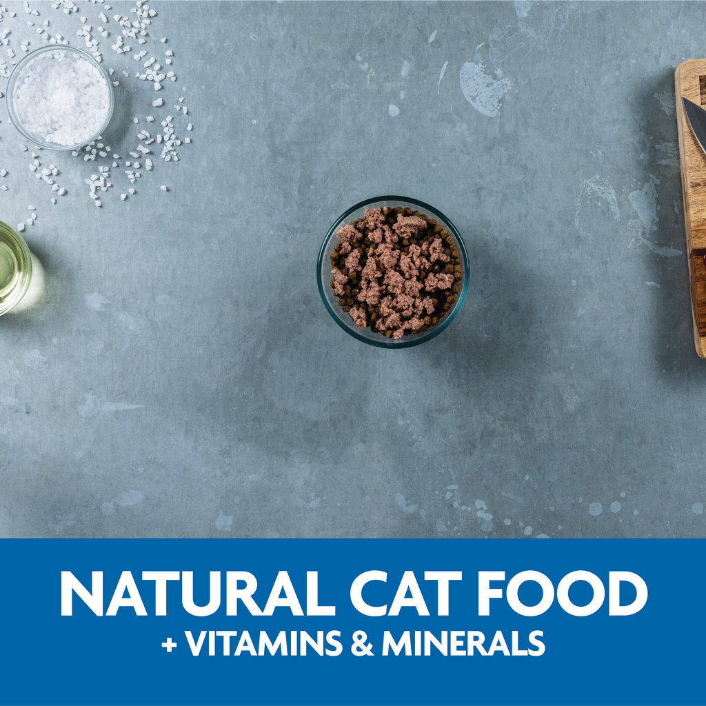 Natural Cat food plus vitamins and minerals
