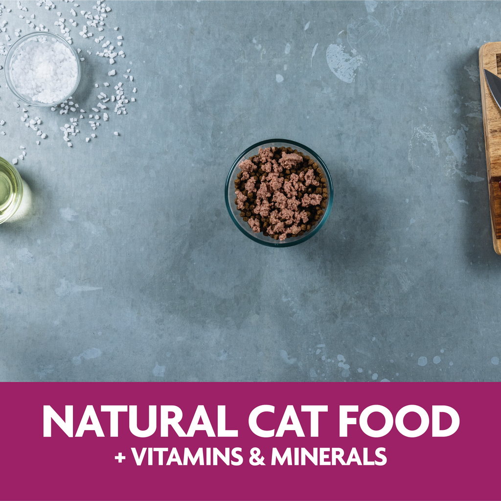 Natural Cat Food plus Vitamins and Minearls
