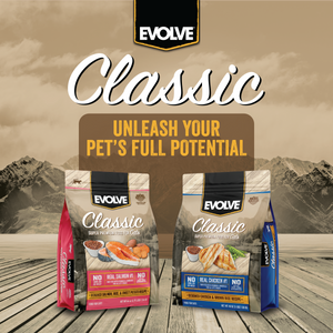 evolve cat food dry