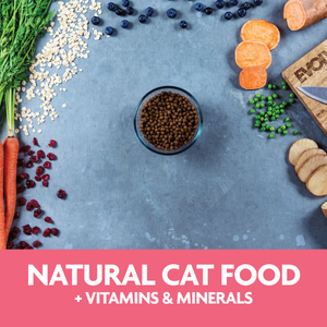 Natural cat food plus vitamins and minerals