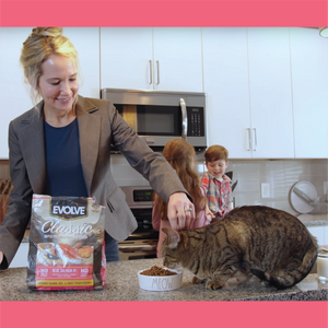 evolve cat food dry