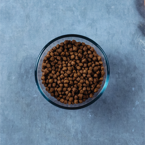 evolve cat food dry kibble view