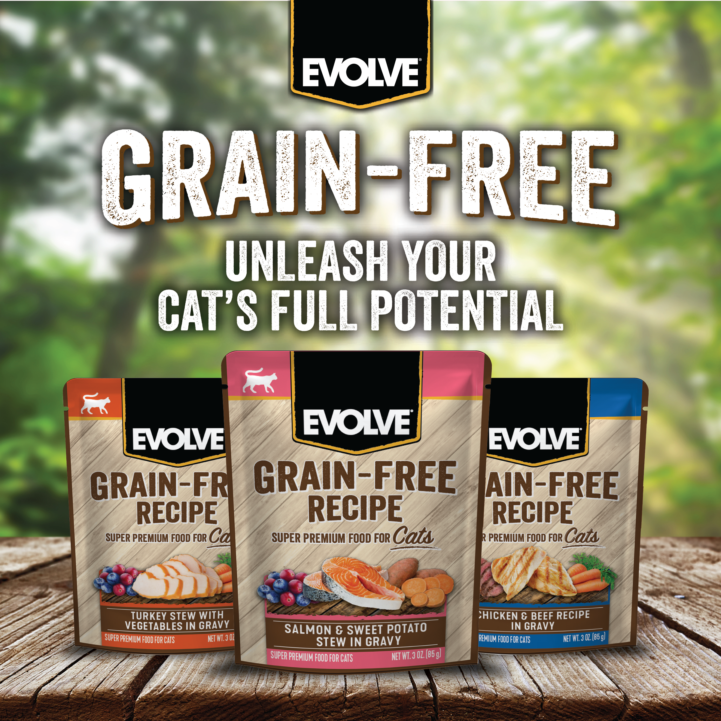grain free wet cat food