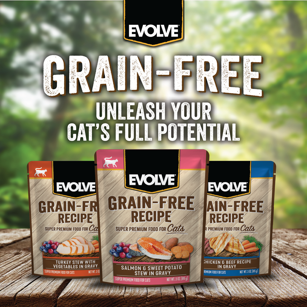 grain free wet cat food