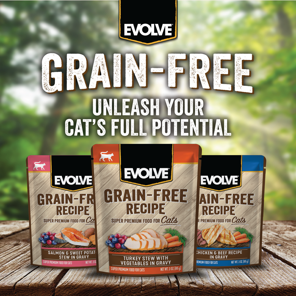 wet cat food grain free
