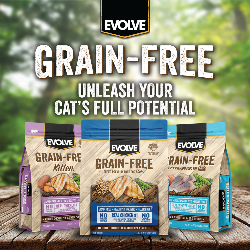 Grain free food options to unleash your cat's full potential