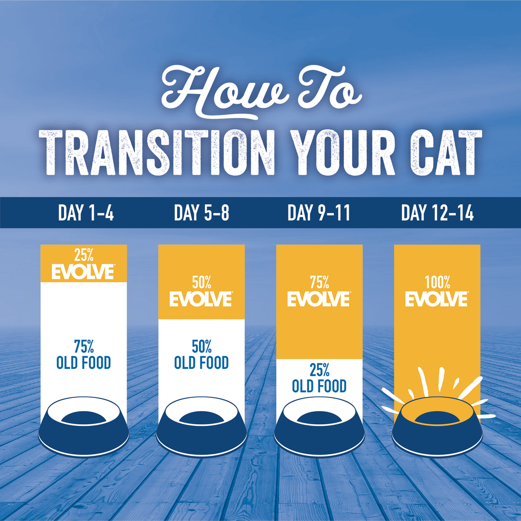 How to transition your cat's food