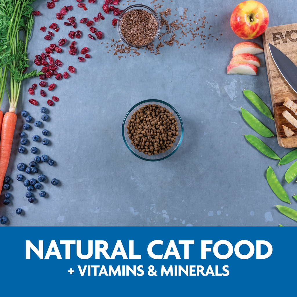 Natural cat food plus vitamins and minerals