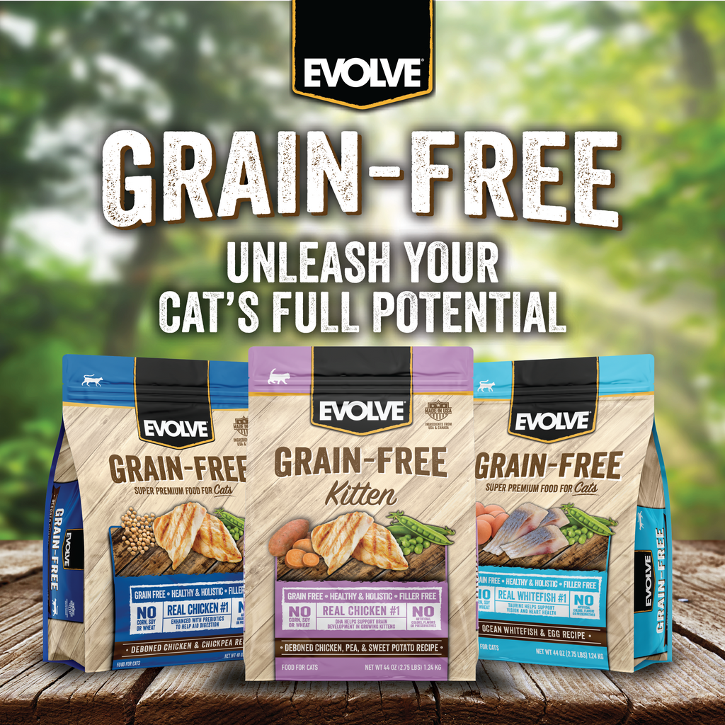 grain free dry kitten food