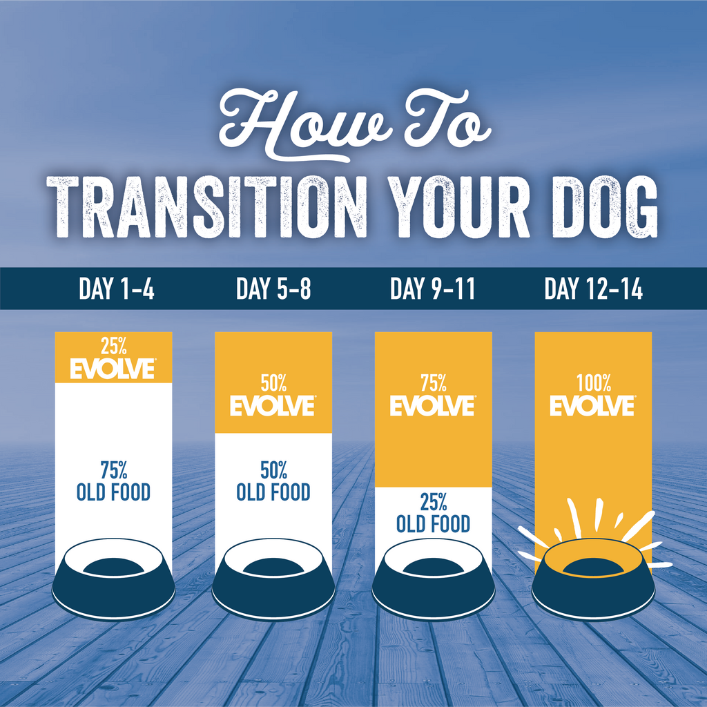 transition dog food chart