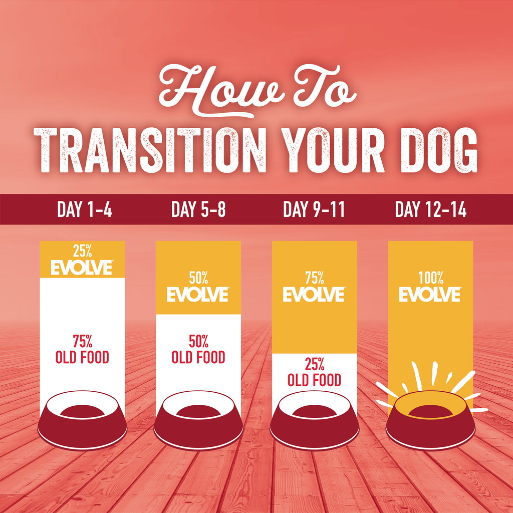 dog food transition chart