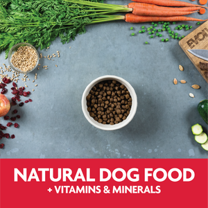 natural dog food plus vitamins and minerals