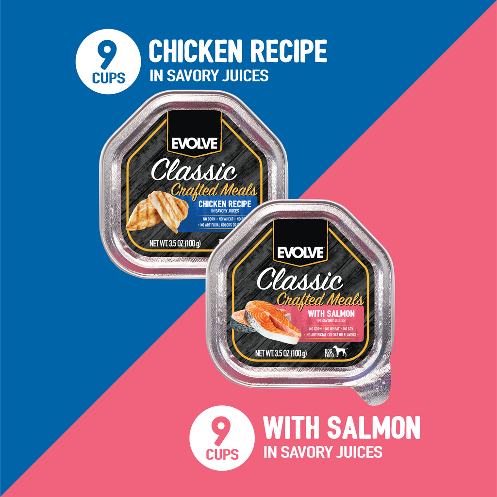 Evolve classic top wet dog food