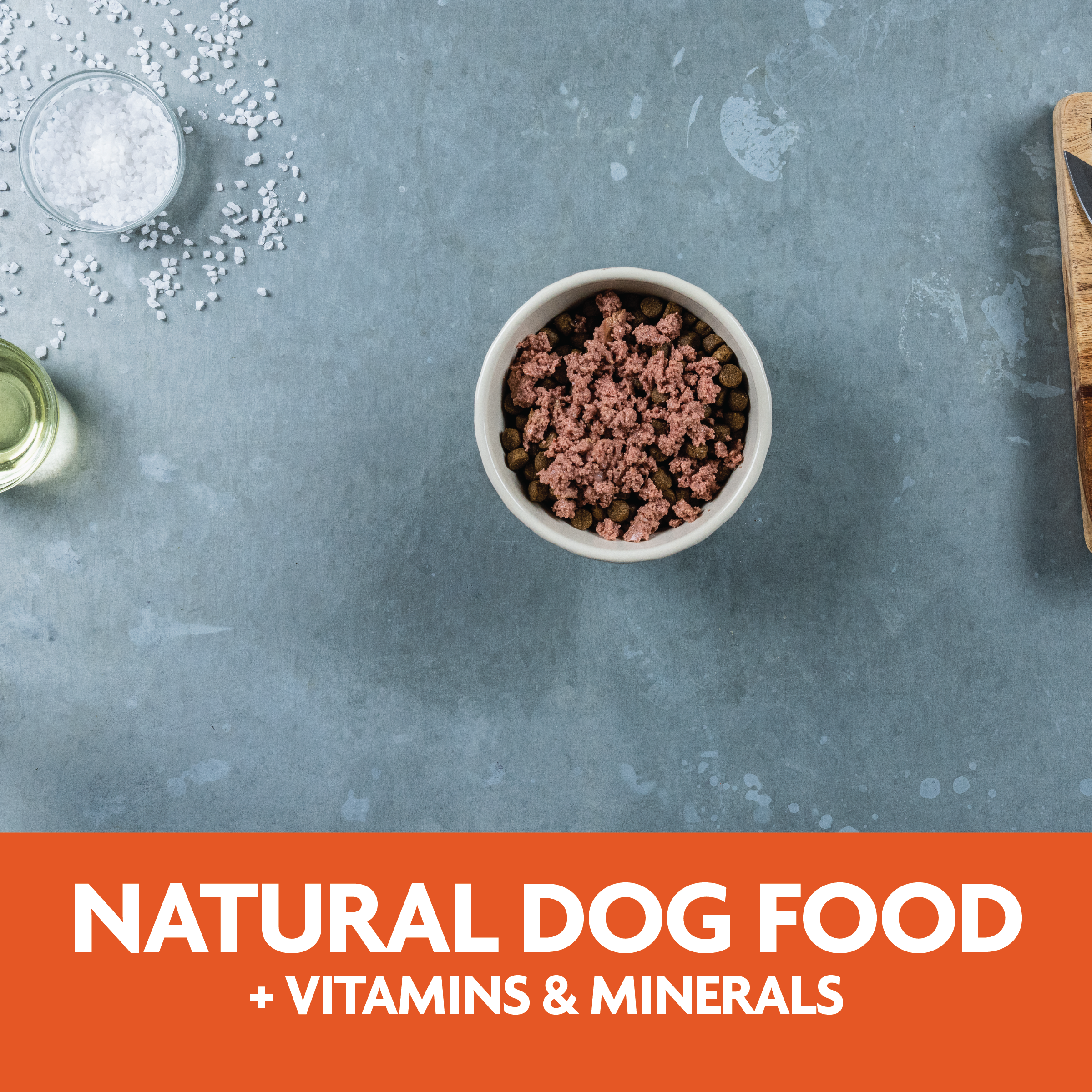 natural dog food plus vitamins and minerals