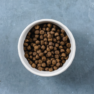 lamb dog food kibble view