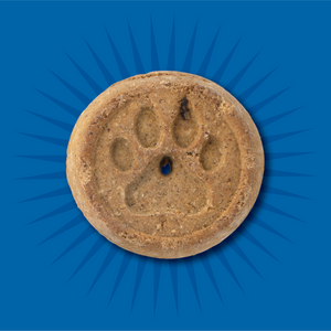 healthy dog biscuit