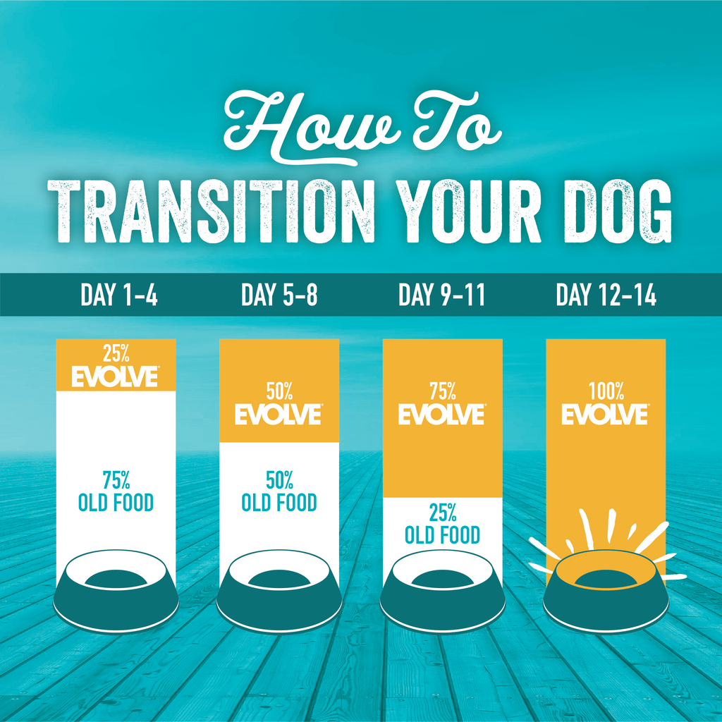 dog food transition guide