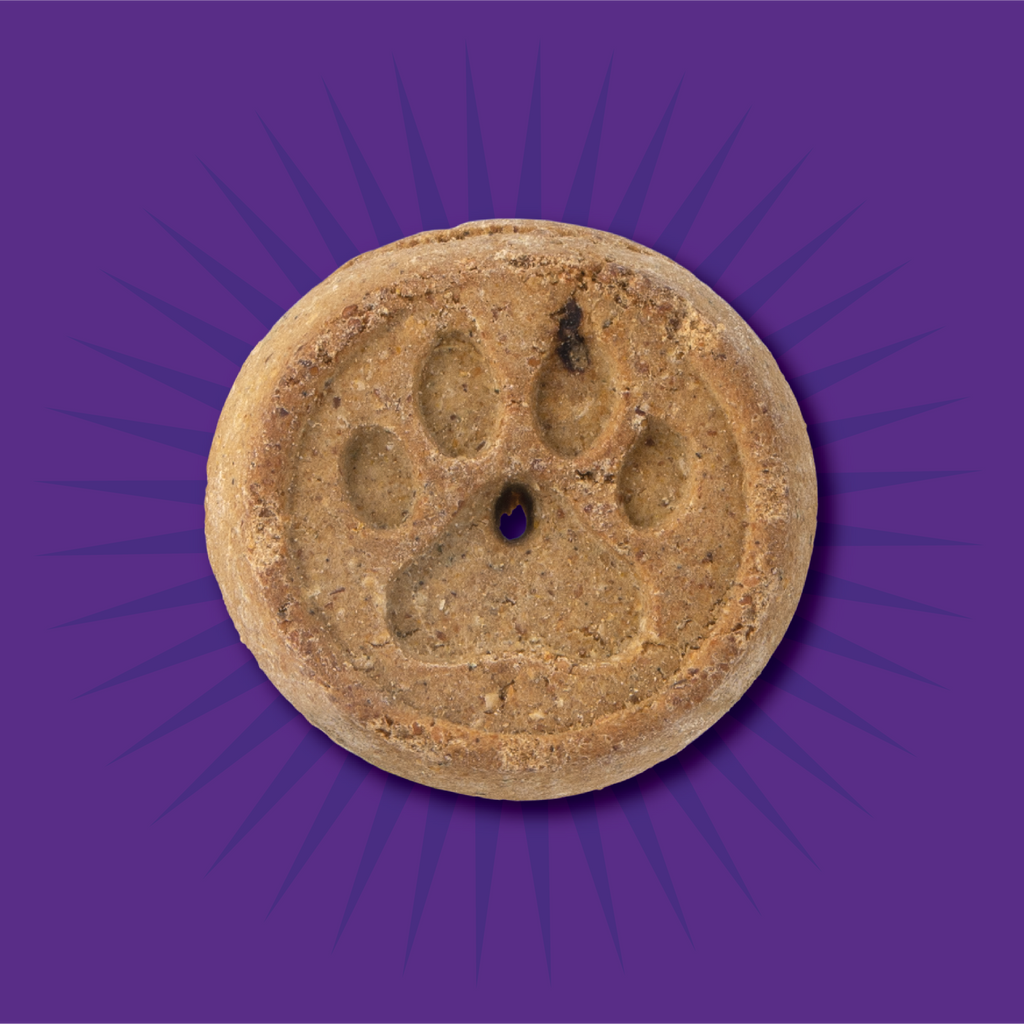 blueberry dog biscuits
