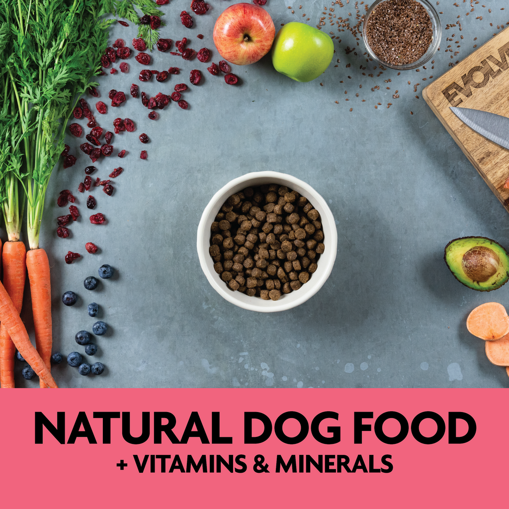 Natural Dog Food with vitamins and minerals