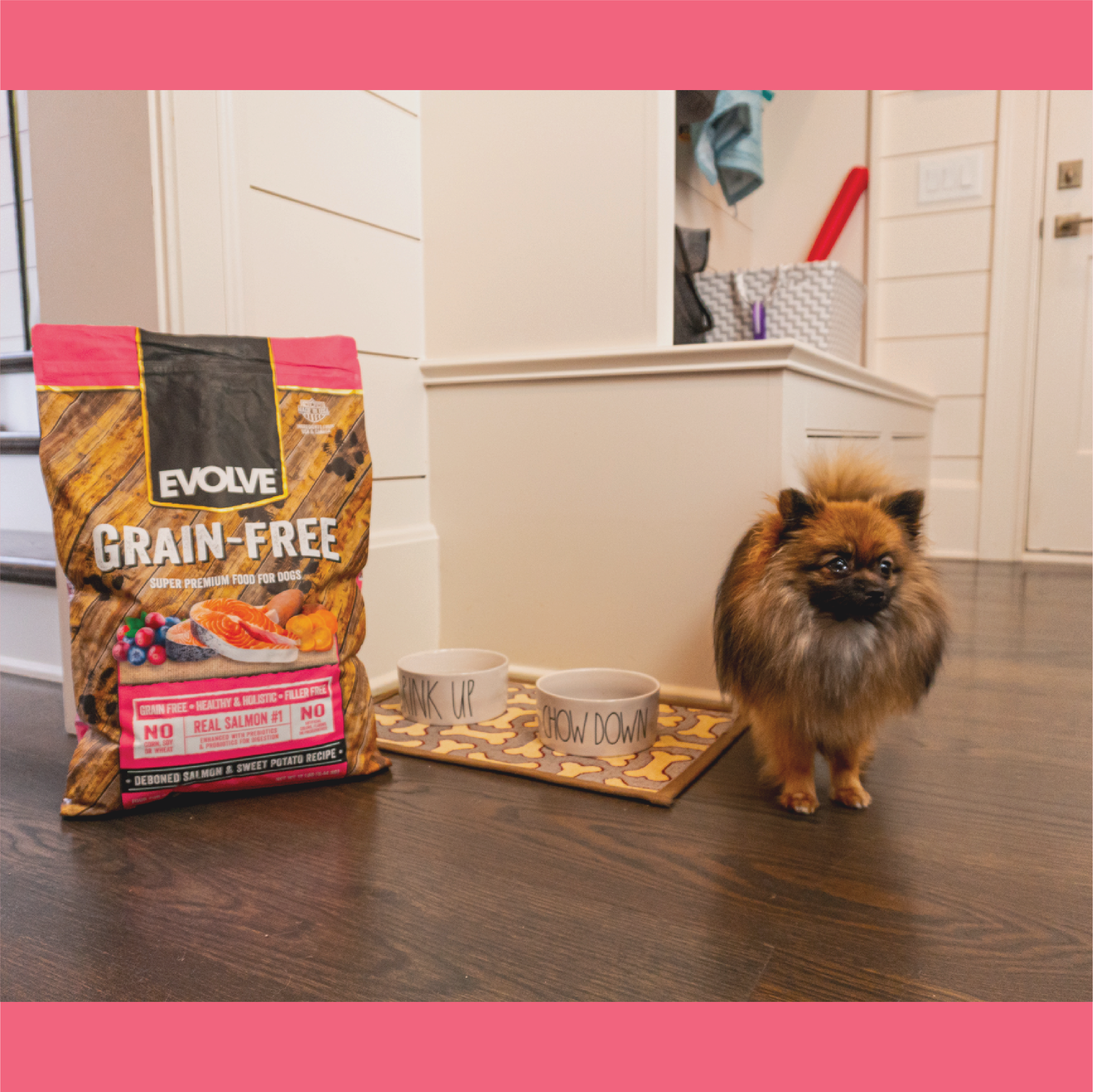 Evolve grain free salmon and sweet potato dog food