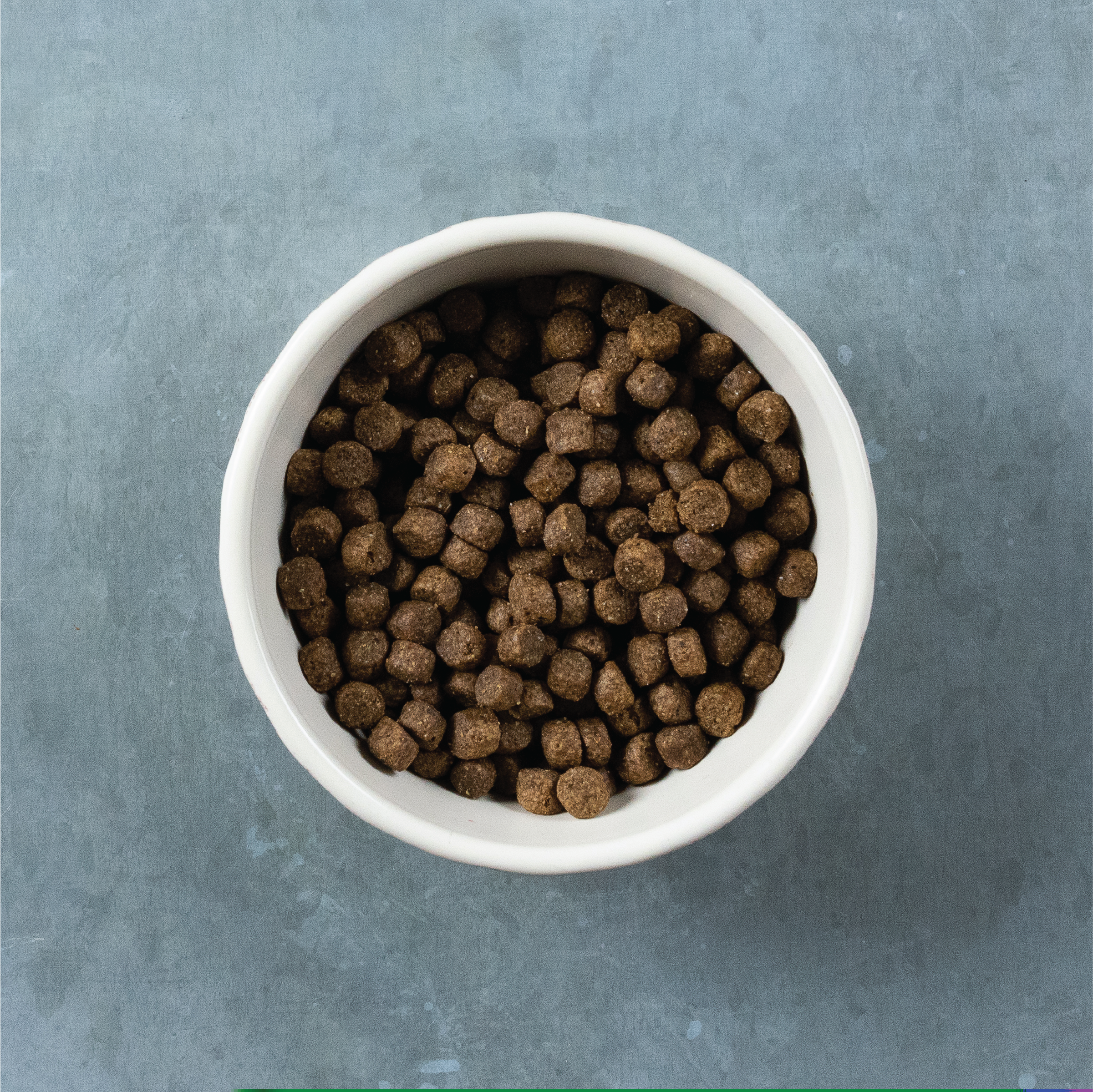 Kibble Size for Evolve grain free salmon and sweet potato dog food