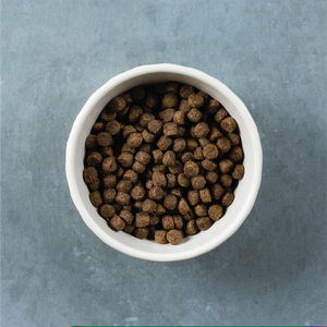 Kibble Size for Evolve grain free salmon and sweet potato dog food