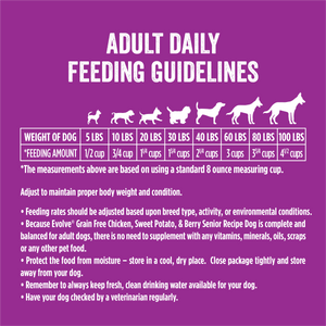 adult daily feeding guidelines