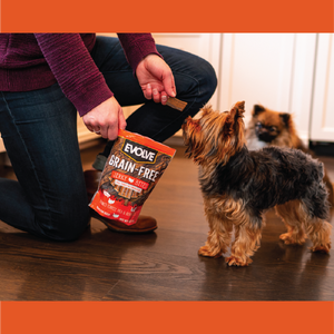dog jerky treats