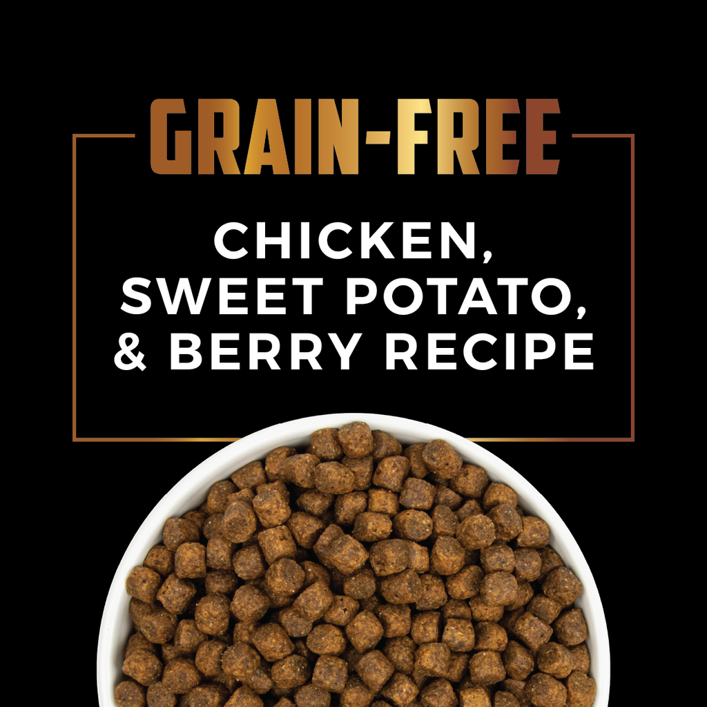 dry grain free chicken dog food