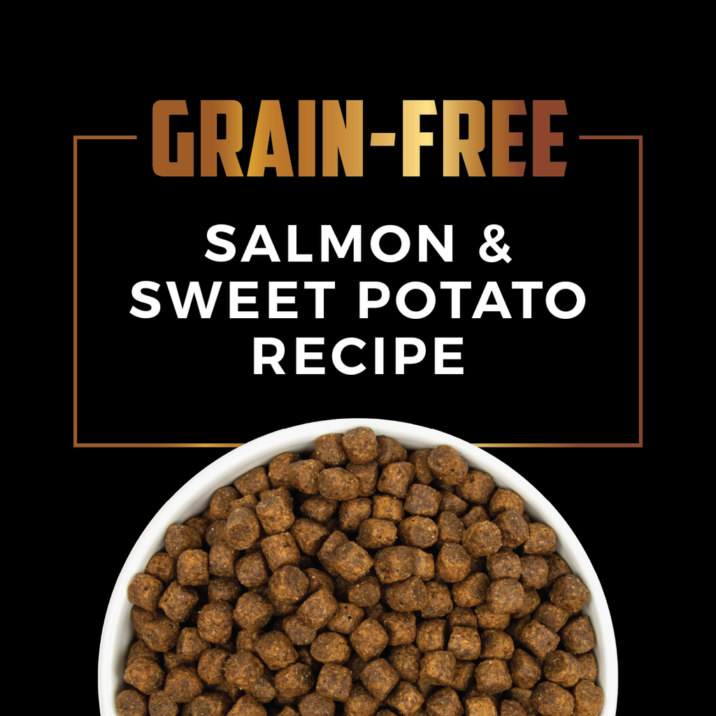 Grain free salmon & Sweet potato recipe