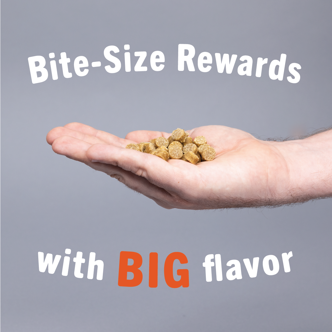 Bite sized rewards with big flavor