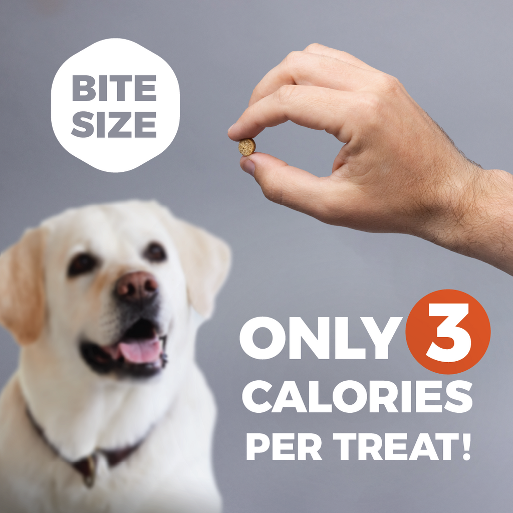 Only 3 calories per treat