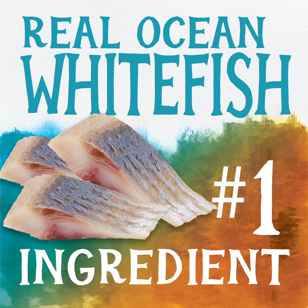Grain Free Ocean Whitefish & Egg Cat Food | 3 LB | Triumph
