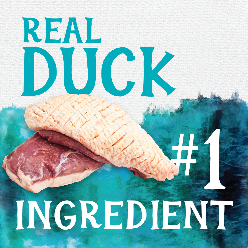 Triumph Free Spirit Grain Free Duck Vegetable Blueberry Recipe